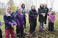 17-11-2012-IMG_7295.jpg