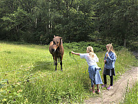 20190709-IMG_1259.jpg