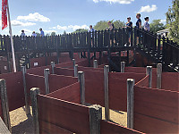 20190709-IMG_1283.jpg