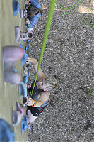 20190710-IMG_0290.jpg