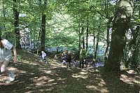 Filnavn=20190710-IMG_4212.jpg
Filstørrelse=898KiB
Dimensioner=1500x1000
Dato for tilføjelse=11 Aug, 2019 20190710-IMG_4212.jpg