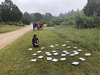 20190711-IMG_1358.jpg