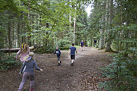 20190712-IMG_4608.jpg