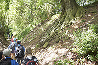 Filnavn=29-05-14-DSCF0736.jpg
Filstørrelse=1781KiB
Dimensioner=2000x1333
Dato for tilføjelse=31 Maj, 2014 29-05-14-DSCF0736.jpg
