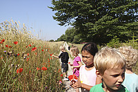 Agentlejr-on-139.jpg