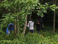 BILD0443.JPG