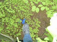 DSC00867.jpg