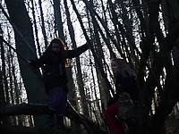 DSCF3228.JPG