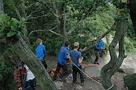 DSC_0452.JPG