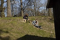DSC_1176-web.jpg