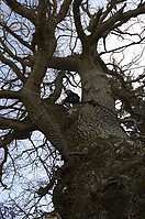 DSC_1358-web.jpg