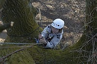DSC_1389-web.jpg