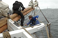 DSC_1605.JPG