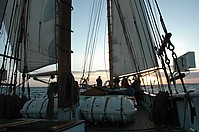 DSC_1656.JPG