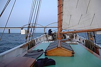 DSC_1669.JPG
