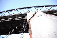DSC_1681.JPG