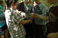 DSC_5046.JPG