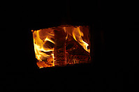 DSC_5795.jpg