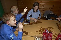 DSC_6264.jpg