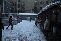 DSC_6364~0.jpg