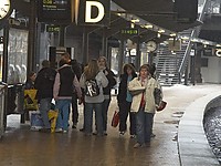 DSC_6731.jpg
