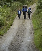 DSC_7813.jpg
