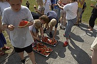 DSC_8176.jpg