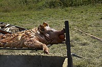 DSC_8430.jpg