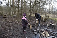 DSC_8442.jpg