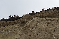 DSC_8493.jpg