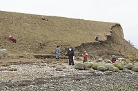 DSC_8504.jpg