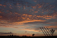 DSC_9509.JPG