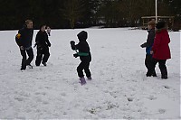 IMG_0474.jpg