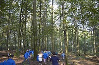 IMG_0705.jpg