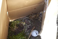 IMG_0764.jpg