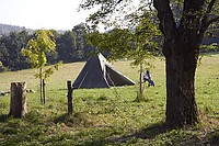 IMG_0774.jpg