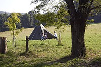 IMG_0777.jpg