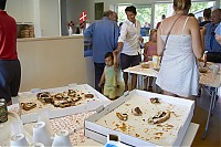 IMG_0836.jpg
