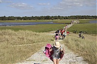 IMG_1636.jpg