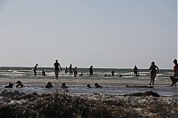 IMG_1672.jpg