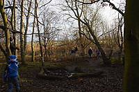 IMG_2643.jpg