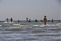 IMG_2646.jpg