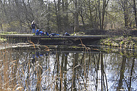 IMG_2668.jpg