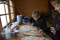 IMG_2694.jpg