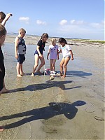 IMG_2716.jpg