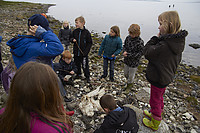 IMG_2798.jpg