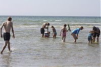 IMG_3419.jpg