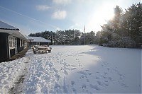IMG_3511.JPG