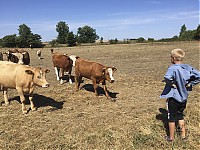 IMG_4691.jpg