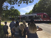 IMG_4699.jpg